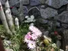 法國南部待售賓館 - 面向比利牛斯山脈的大花園 (19).webp